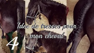 4 idées de tresses pour mon cheval TUTO [upl. by Findlay]