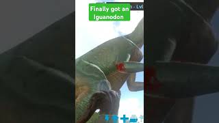 Iguanodon in ark survival evolved mobile subscribe like [upl. by Illa626]