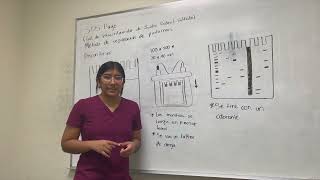 Cromatografía de intercambio iónico y SDSPAGE [upl. by Salhcin]