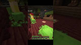 СЛИЗИ РОЗМНОЖАЮТСЯ minecraft minecraftjokes memes skywarsfunnymoments memes meme мемы [upl. by Kcirddot]