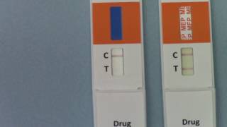 Positive and negative drug test results A guide to interpreting urine drug test kit results [upl. by Saber284]