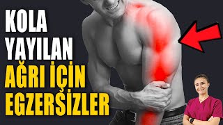 KOLA YAYILAN AĞRI İÇİN EGZERSİZLER aktifizyo kolağrısı fiziktedavi boyunağrısı [upl. by Mellisent]