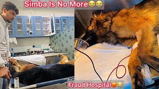 Simba Ki Death Hogye💔😭😭😭RIP💔Fraud Hospital 😡 [upl. by Bala427]