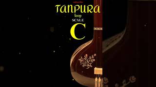 C Tanpura [upl. by Ttekcirc]