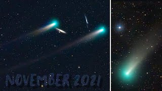 Comet Leonard Update  November 2021 [upl. by Love868]