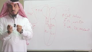 Pediatric Cardiovascular Assessment History Taking  Dr Zaher Faisal Zaher [upl. by Antons]