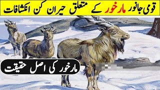 Interesting Facts About National Animal Of Pakistan Markhor [upl. by Ennagrom490]