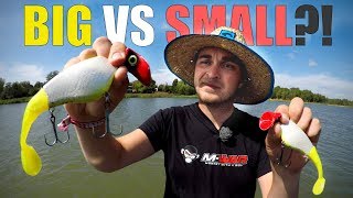 PIKE FISHING BIG vs Small Lures CHALLENGE Big Lures  Big Fish  Gator Rod GIVE AWAY [upl. by Ocker]