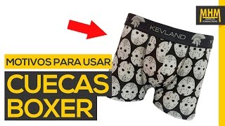 Cueca Boxer 5 motivos para começar a usar AGORA [upl. by Doe694]