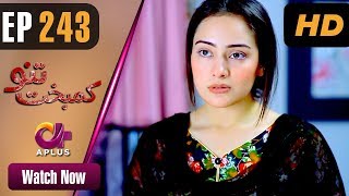 Drama  Kambakht Tanno  EP 243  Aplus  Tanvir Jamal Sadaf Ashaan  C2U1 [upl. by Heimlich]