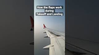 How the flaps work during takeoff and landing shorts [upl. by Ellett]