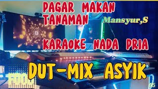 PAGAR MAKAN TANAMAN KARAOKE NADA PRIA [upl. by Nodnerb]