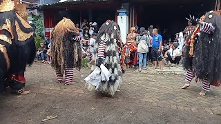 rangdebarong bali krisno budoyo live plongan barat gunungsari [upl. by Abita]