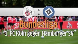 1 FC Köln gegen Hamburger SV Bundesliga 2 Spieltag [upl. by Yadsnil]