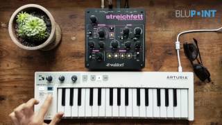 Waldorf Streichfett Review No Talk [upl. by Nabal]