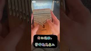 seeds kalimba 22tone kalimbakalimbasongsmarimbas [upl. by Moynahan]