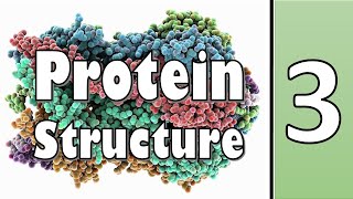 Tertiary Structure of Protein  Biochemistry  سنة أولى طب  كيمياء الحياتية  M1000  7 [upl. by Ecirtnahs]