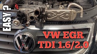 VW EGR 16  20 TDI [upl. by Perrin453]