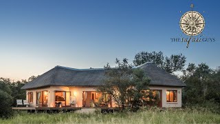 Tintswalo Safari Lodge  Manyeleti Game Reserve South Africa [upl. by Harlie]