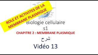 biologie cellulaire s1 vidéo 013  la membrane plasmique شرح [upl. by Aizatsana854]