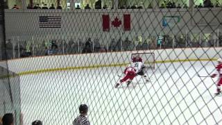 Allan Cup Semi 1 Rosetown vs Clarenville [upl. by Fortunia]