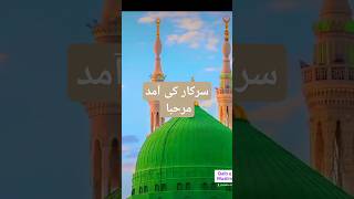 Jab peer ka din aya Naat Tahir ul qadri 12rabiulawalnaat shorts youtubevideo [upl. by Anauqes]