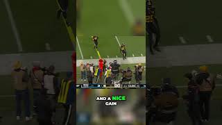 Unbelievable Touchdown Catch Steelers vs Titans Highlights [upl. by Cairns]