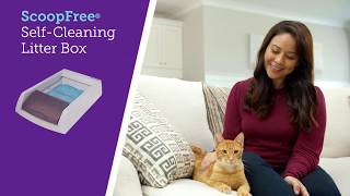 Scooping Stinks PetSafe® ScoopFree® SelfCleaning Litter Box [upl. by Nicholle993]