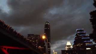 Mexican FreeTailed Bats at Congress Bridge in Austin Texas [upl. by Wyndham414]