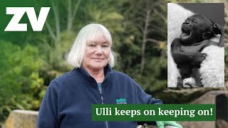 50 years as a Primate Keeper 4k [upl. by Josy]