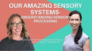 Our Amazing Sensory Systems Understanding Sensory Processing [upl. by Llerej761]