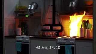 Innohome Cooker Fire Test [upl. by Eleik410]