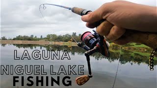 Trout Fishing OC Parks  Laguna Niguel Regional Park  Part 2 [upl. by Teddie672]