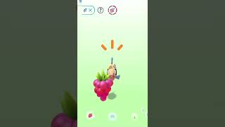 Play and treat Feebas with berries pokemon go pokemon pokemongo feebas [upl. by Ecirtnas]