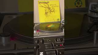 Bunny Wailer  Boderation oldschoolreggae rootsreggae vinyl reality [upl. by Tubb140]