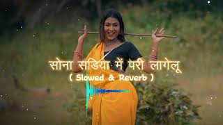 song  सोना सडिया में परी लागेलू  Sona Sadiya Mein Pari Lagelu promad premei ka new song 2024 ka [upl. by Hull737]