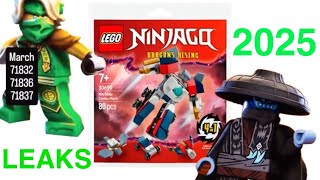 LEGO NINJAGO MINI TEAM COMBO MECH BREAKDOWN  2025 Lego ninjago polybag [upl. by Iila]