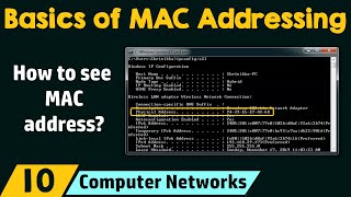 Basics of MAC Addressing [upl. by Nilyac761]