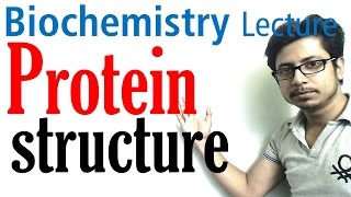 Protein structure  primary secondary tertiary and quaternary structure of protein [upl. by Ignaz]