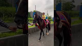 Cute Baby and Horse 🐎  horse horses ghoda cutebaby ytshorts viral trending [upl. by Ribaudo995]