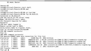 Upgrading Junos on an EX2200 Virtual Chassis [upl. by Shulman189]