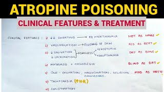 चश्मे का नंबर बढ़ने से कैसे रोकें  Atropine Eye Drops  How To Control Myopia in Children [upl. by Negah]