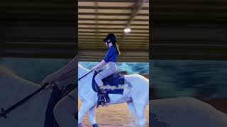 hApPY hOuSE subscribe horsey equestrian horsegirl theweeknd siouxsieandthebanshees [upl. by Belter860]