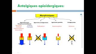 cour14 les antalgiques [upl. by Llemej]