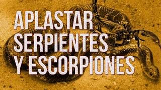 Aplastar serpientes y escorpiones Eduardo PerazaSegura [upl. by Ahsanat264]