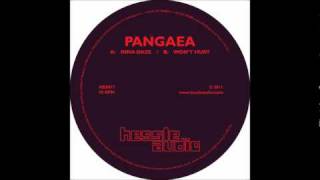 Pangaea  Wont Hurt HES017 Hessle Audio [upl. by Trilby]