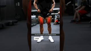 3 Best Exercises For Leg Day With Just Dumbbells [upl. by Haimaj536]