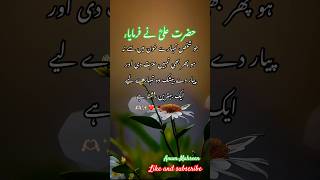 Aqwal e Zareen aqwalezareen islamicquotes [upl. by Loos196]