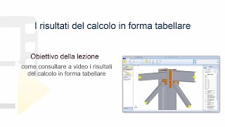 Tutorial NeXus  I Risultati del calcolo in forma tabellare  ACCA software [upl. by Ethelind]