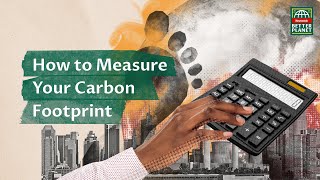 How to Calculate Your Carbon Footprint [upl. by Aleuname]